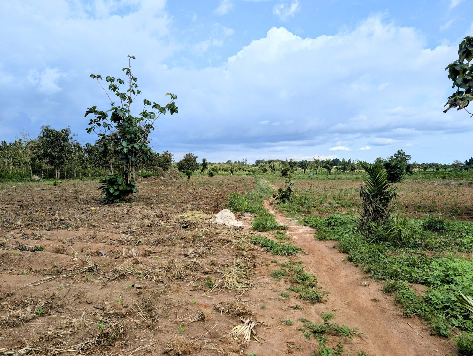 Parcelle à vendre Glo-Djigbé