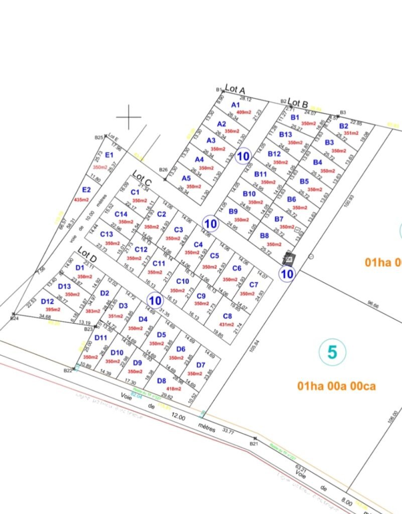 Parcelle vente Bénin Sékou