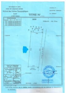 Terrain 1000 m² Ouidah-Gbenan