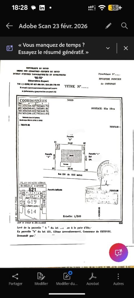 A vendre Pattes d'oies Cotonou