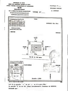 A vendre Pattes d'oies Cotonou