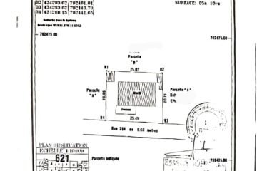 A vendre Pattes d'oies Cotonou