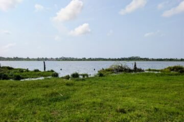 Terrain Bord Lac Toho Pahou